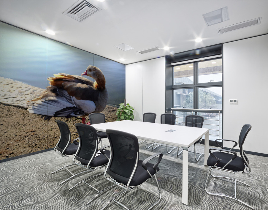 Graceful Pause Wall Printing