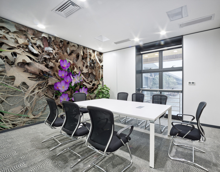 Petals of Renewal Wall Printing