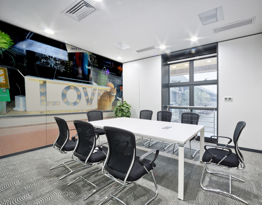 Cat in Window Wall Printing