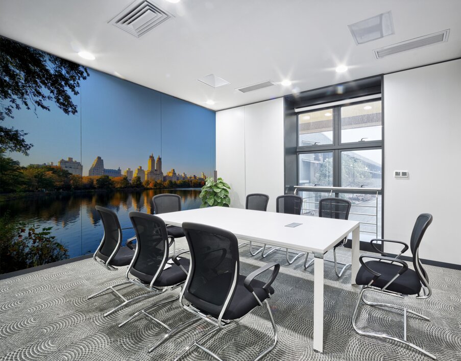 Urban Calm: Central Park View Wall Printing