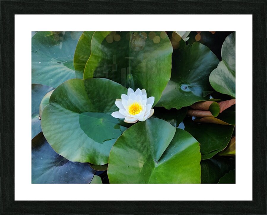 Emerald Cradle of Calm Picture Frame print