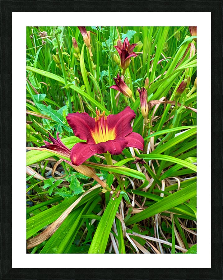Burgundy Muse Picture Frame print