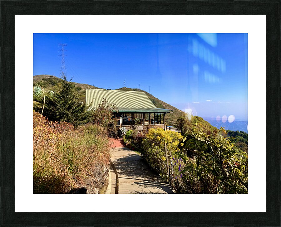 IMG 9695 Picture Frame print