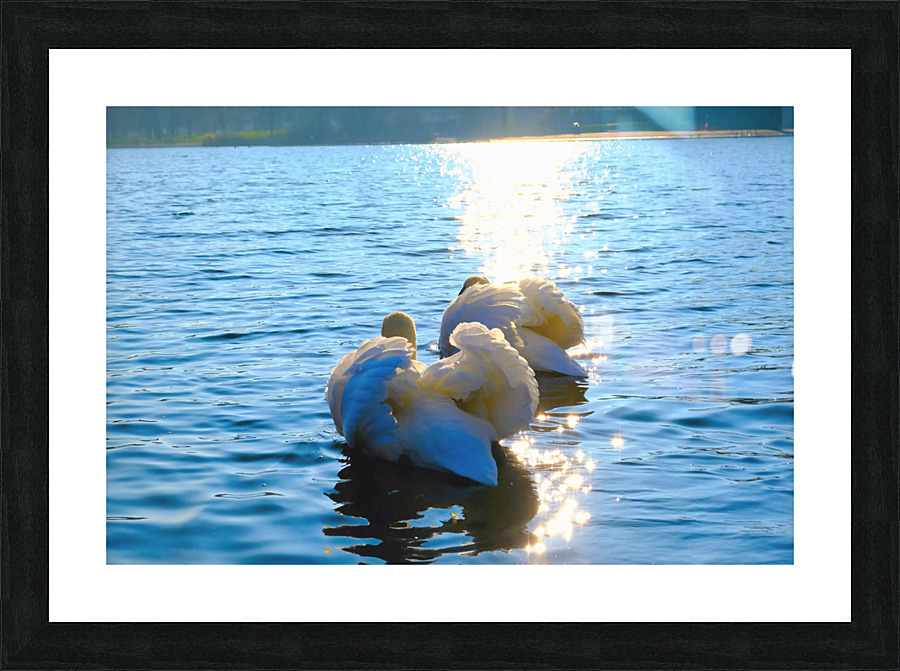 Behind Wings of Love 2B Picture Frame print