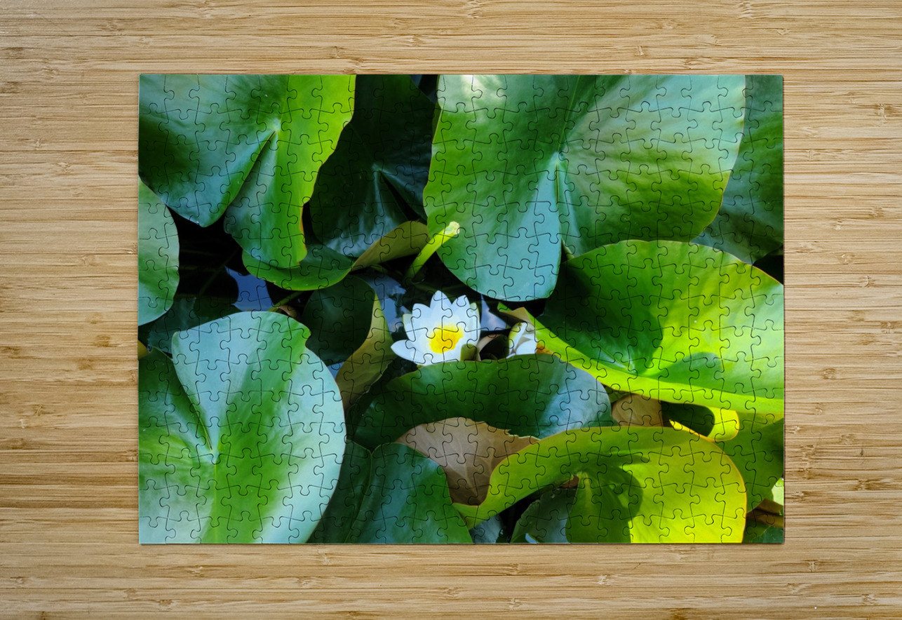 Lusty Lily: Beneath the Folds Click4Pix Puzzle printing