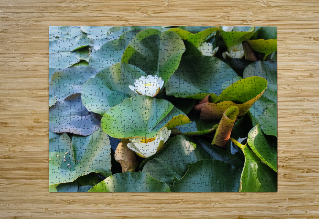 The Secret Life of Lilies Click4Pix Puzzle printing