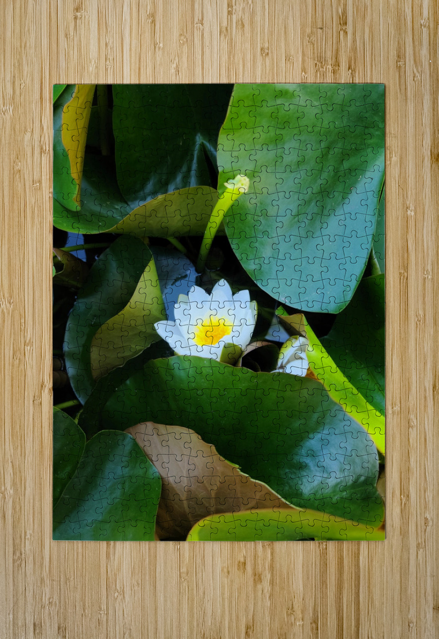 The Quiet Reveal: Beauty Beneath Click4Pix Puzzle printing