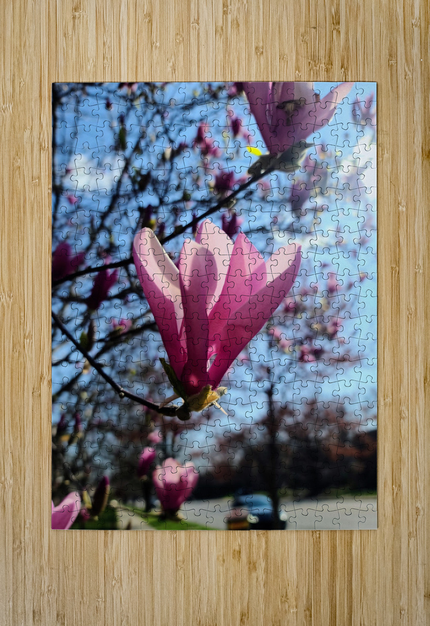 A Magnolia Moment in the Middle of Everything Click4Pix Puzzle printing