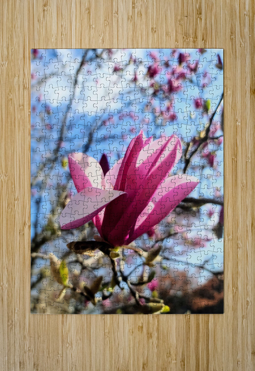 The Velvet Moment Between Bud and Bloom Click4Pix Puzzle printing