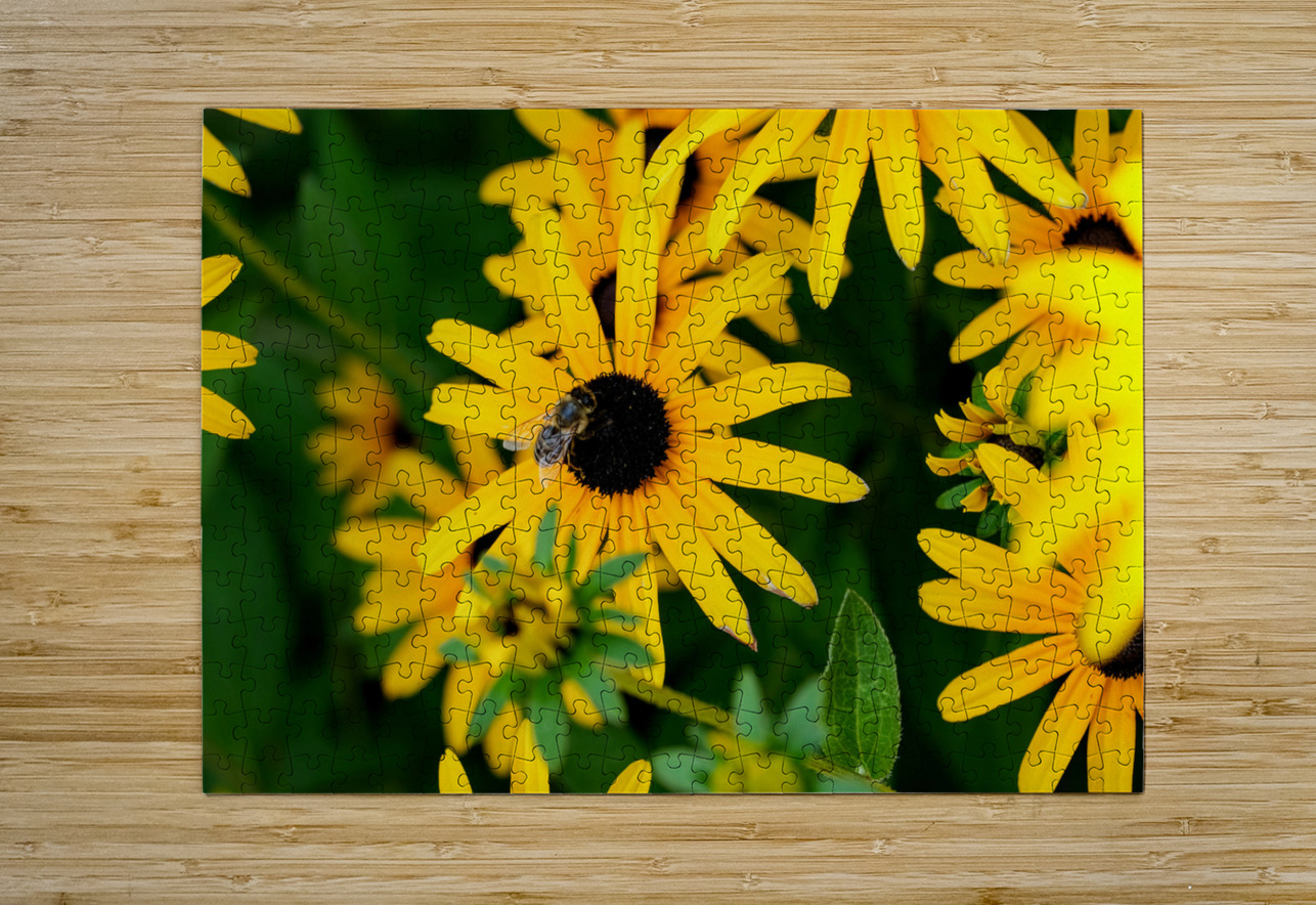 Black-Eyed Susans Dance Partner Click4Pix Puzzle printing