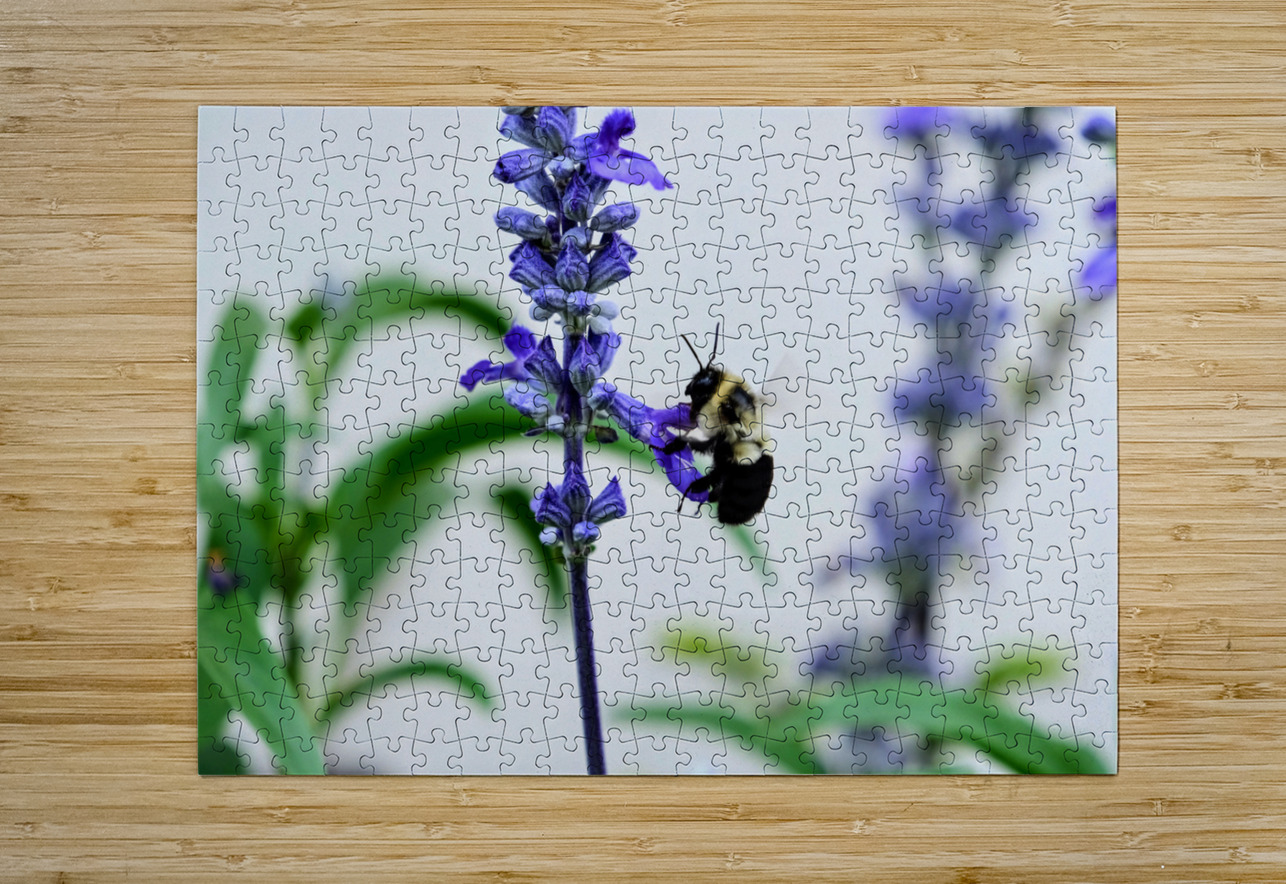 Just A Blue Salvia Buzzing Bee Click4Pix Puzzle printing