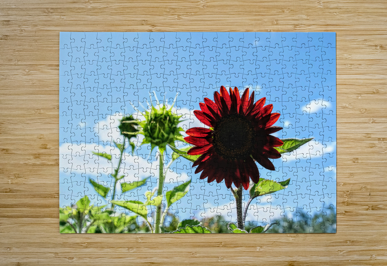 Bloom of the Dark Sun Flower Click4Pix Puzzle printing