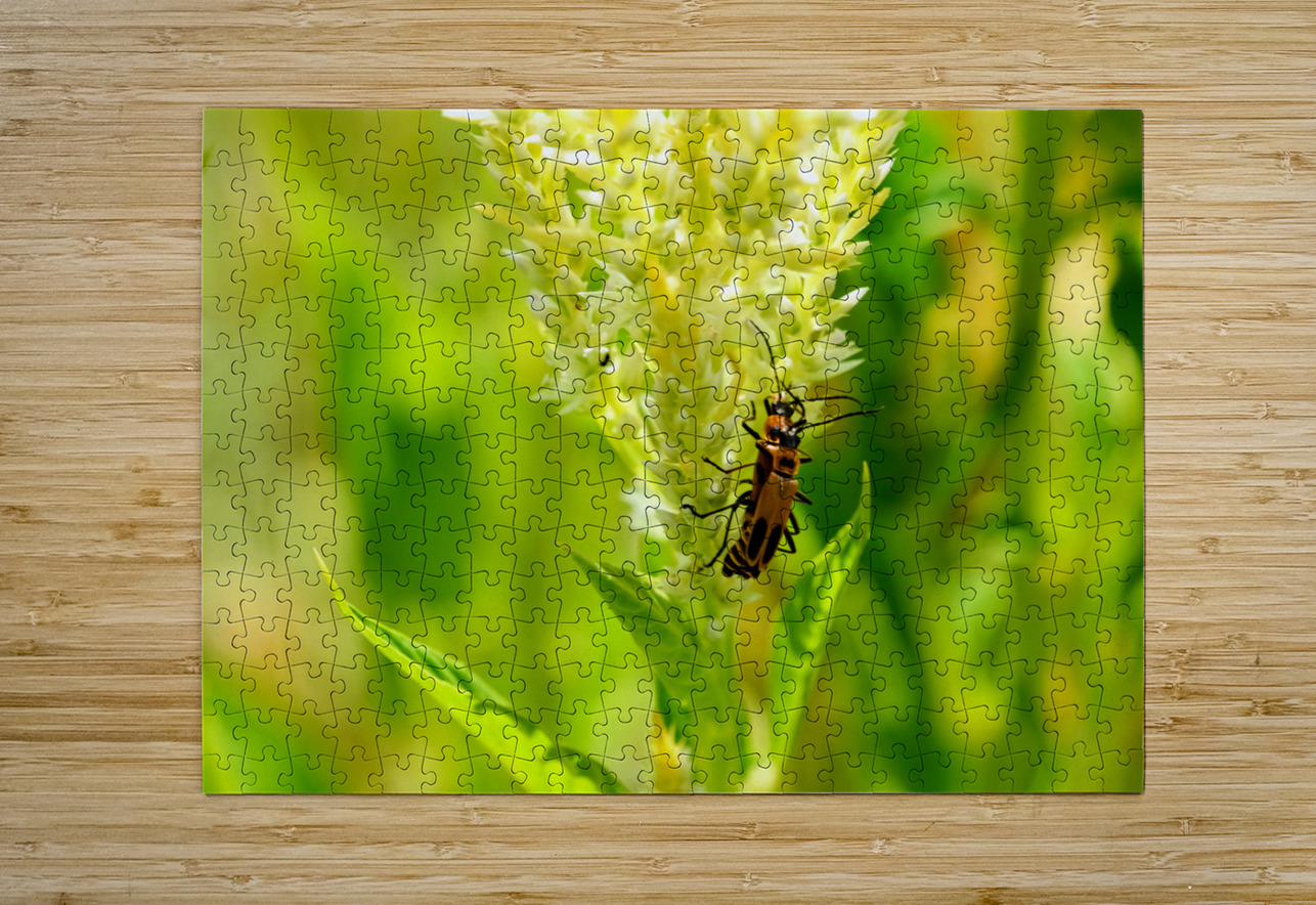 The Daylight Firefly: Guardian of the Green Flame Click4Pix Puzzle printing
