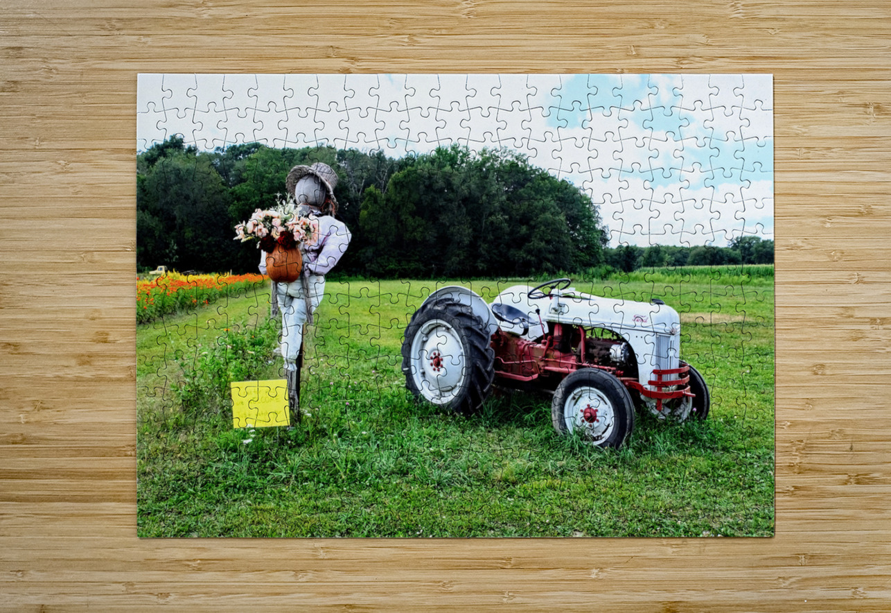 Tractor and Scarecrow: Whimsy on the Windrows Click4Pix Puzzle printing