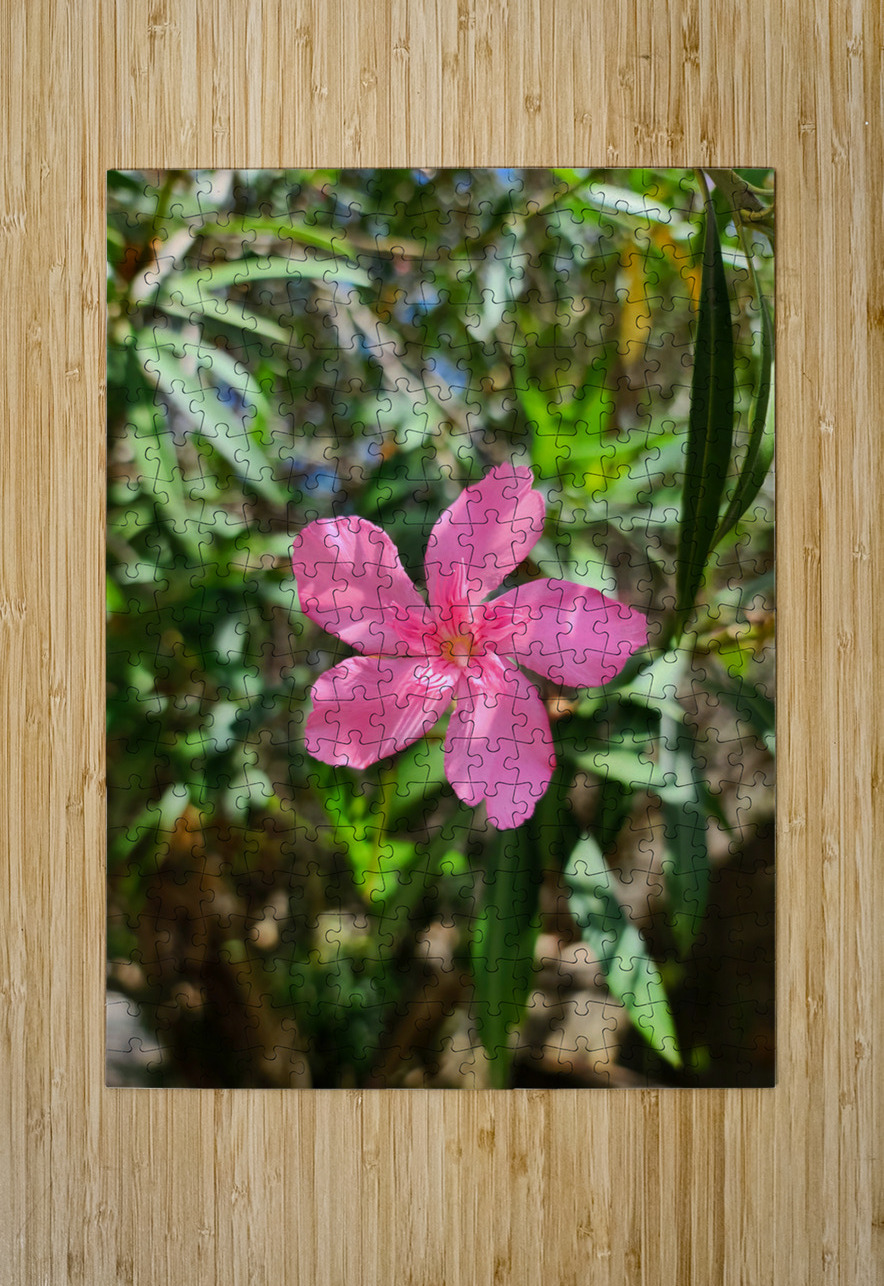 Sun-Kissed Solitude Click4Pix Puzzle printing