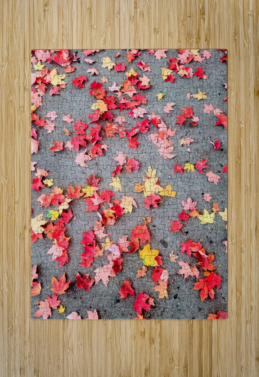 Colorful Fallen Beauties Click4Pix Puzzle printing