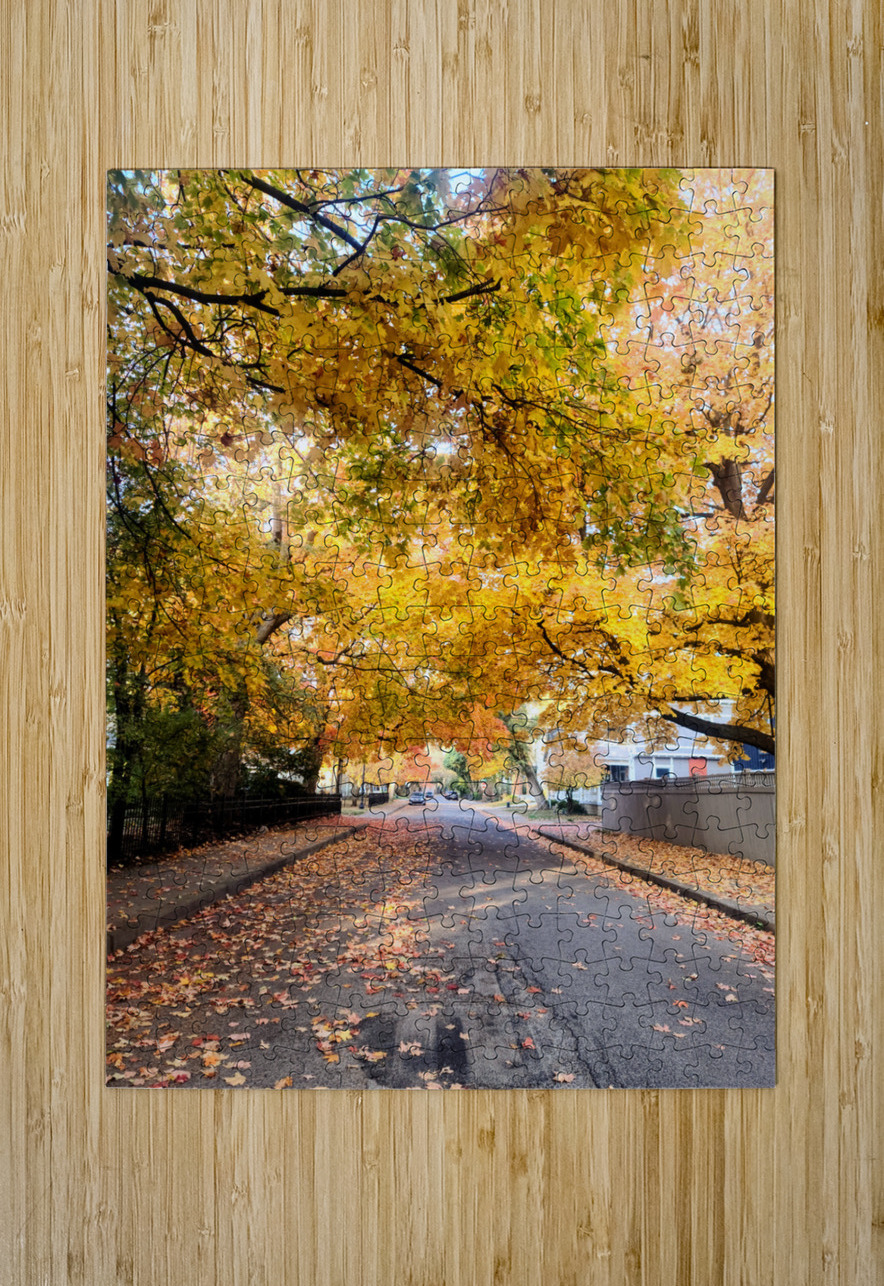 Fall Over the Road: Amber Dreams on Autumn Drive Click4Pix Puzzle printing