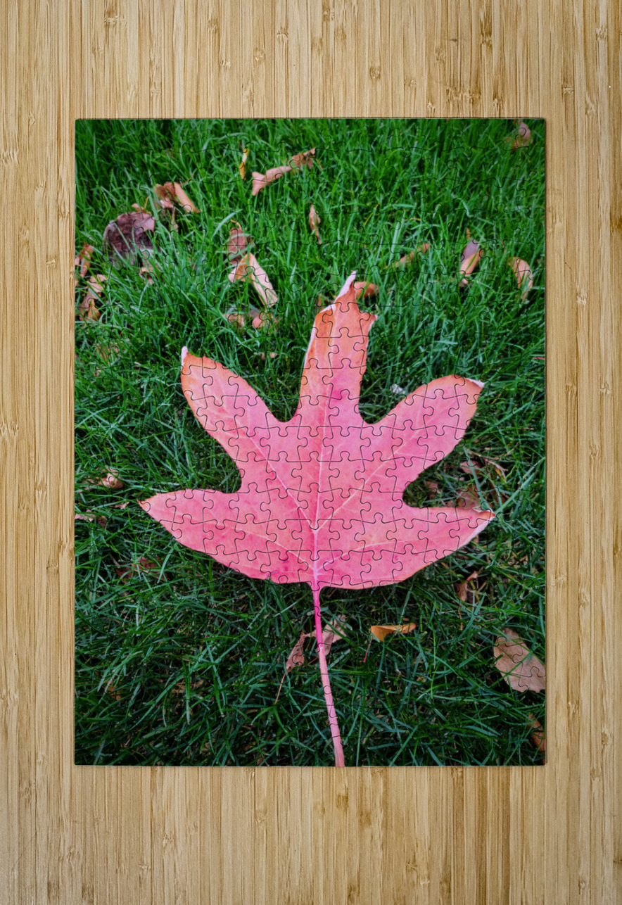 Leaf Me on the Grass Click4Pix Puzzle printing