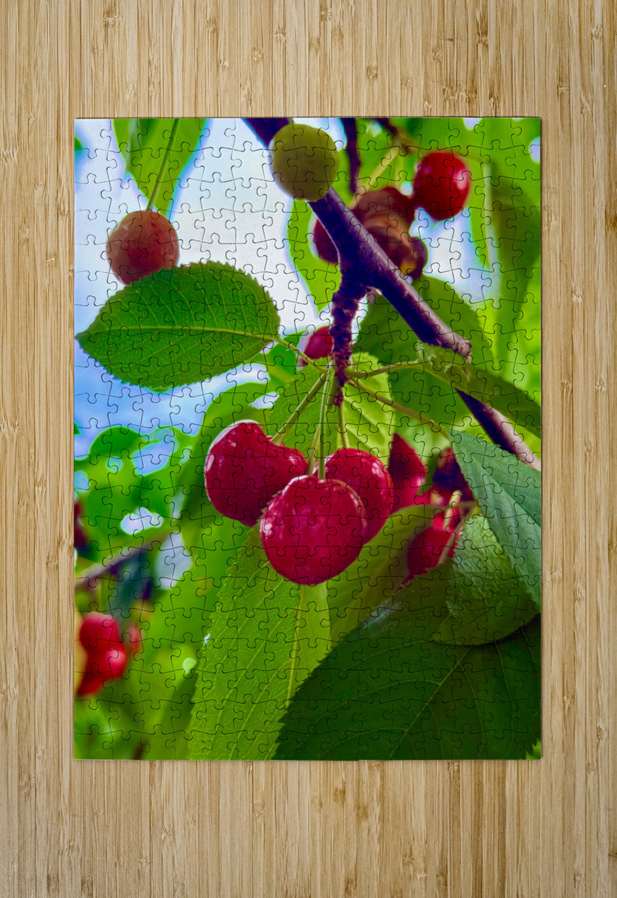Ripening Moments Under Summer’s Veil Click4Pix Puzzle printing