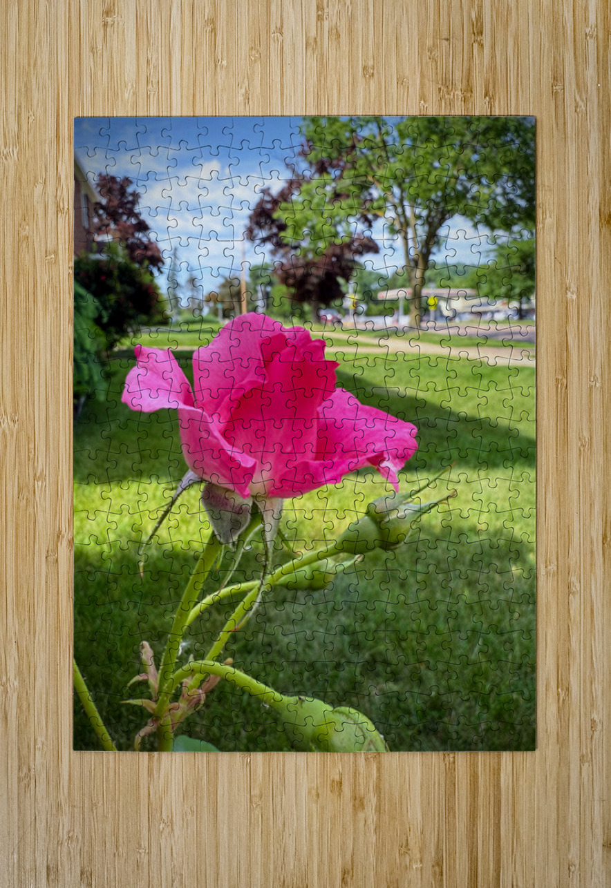 Petal by Petal: Becoming Beautiful Without Permission Click4Pix Puzzle printing