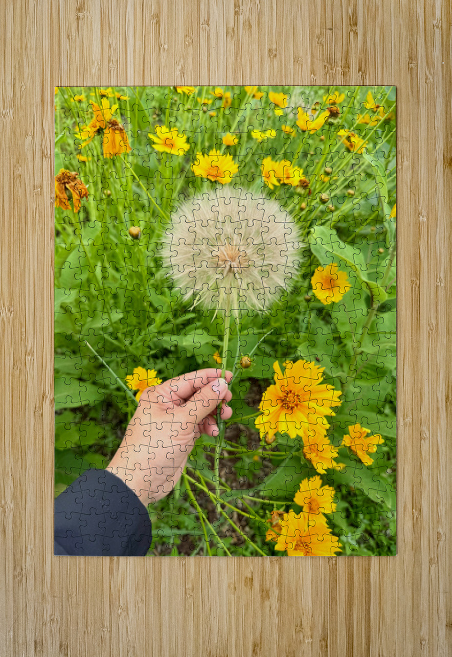 The Wild Stillness Between Wishes Click4Pix Puzzle printing