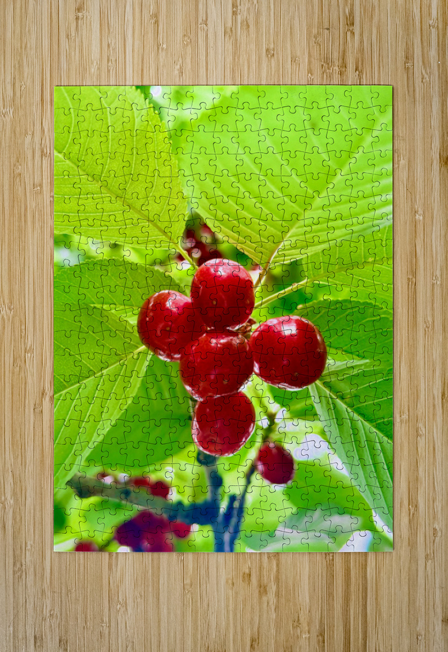 Scarlet Clusters of Abundance Click4Pix Puzzle printing