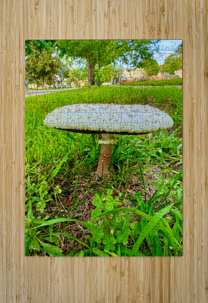 Crowned by the Earth Click4Pix Puzzle printing