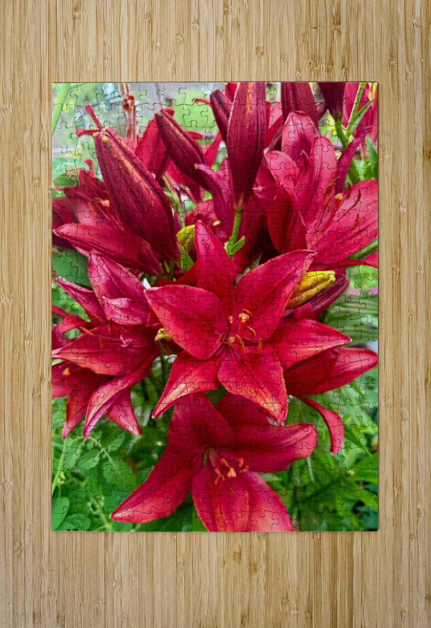 The Gathering of Fire Blooms Click4Pix Puzzle printing
