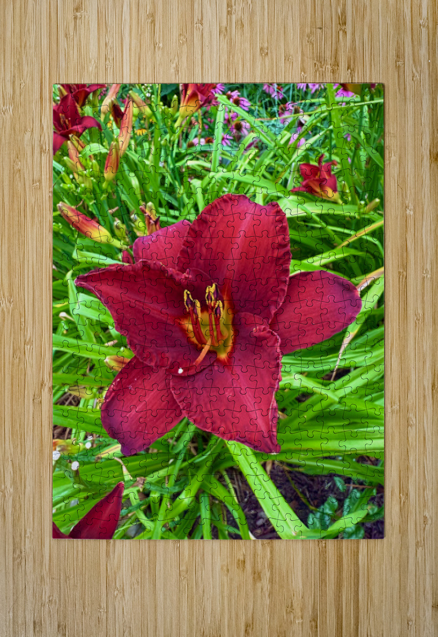 Garden Spotlight Click4Pix Puzzle printing