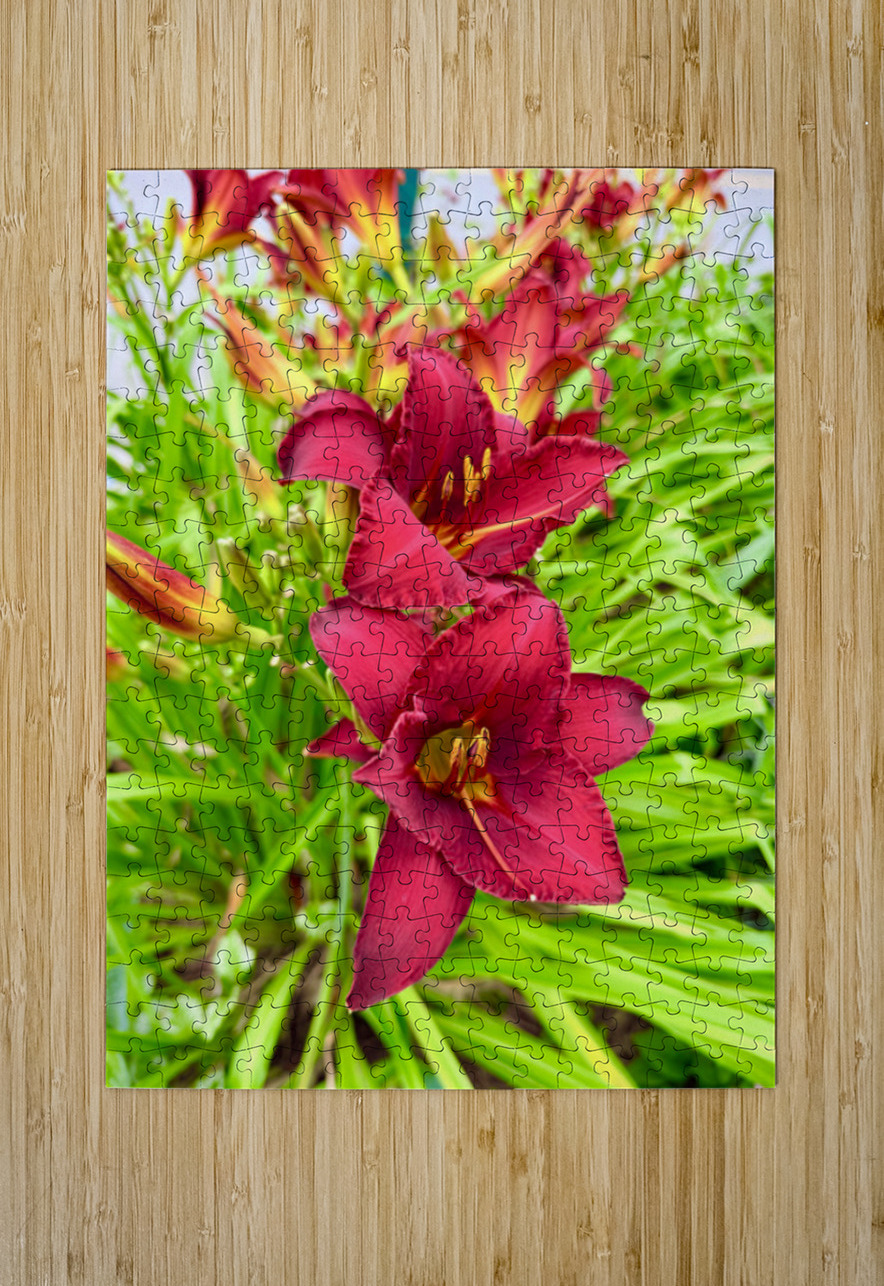 Scarlet Radiance Click4Pix Puzzle printing