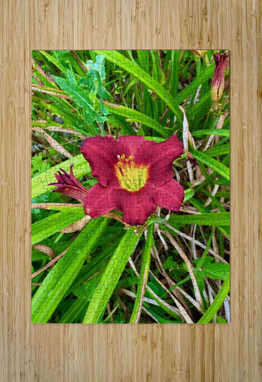 Crimson Flare Click4Pix Puzzle printing