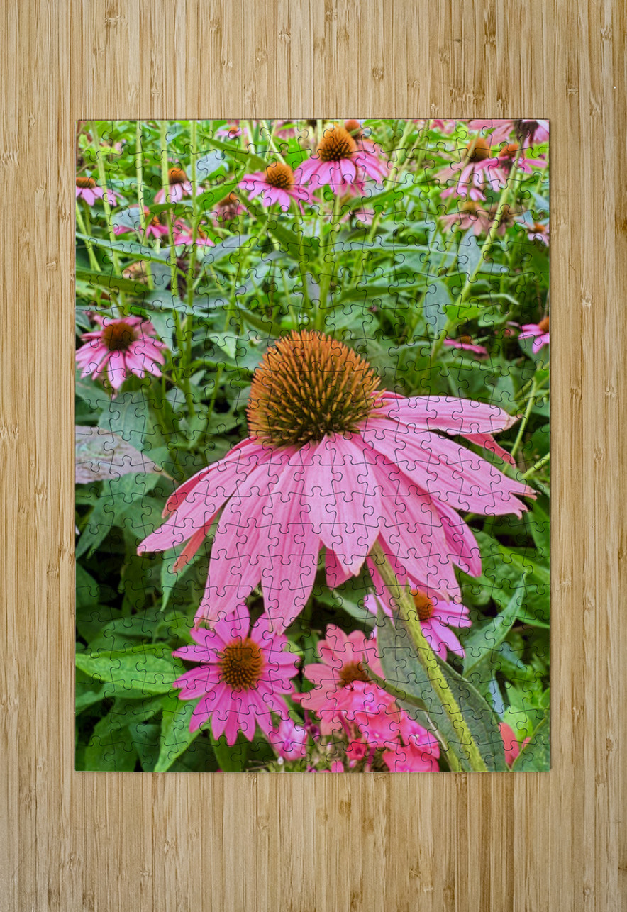 Echinacea Ensemble Click4Pix Puzzle printing