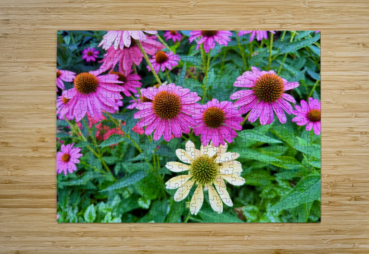 Pink & Cream Petalscape Click4Pix Puzzle printing