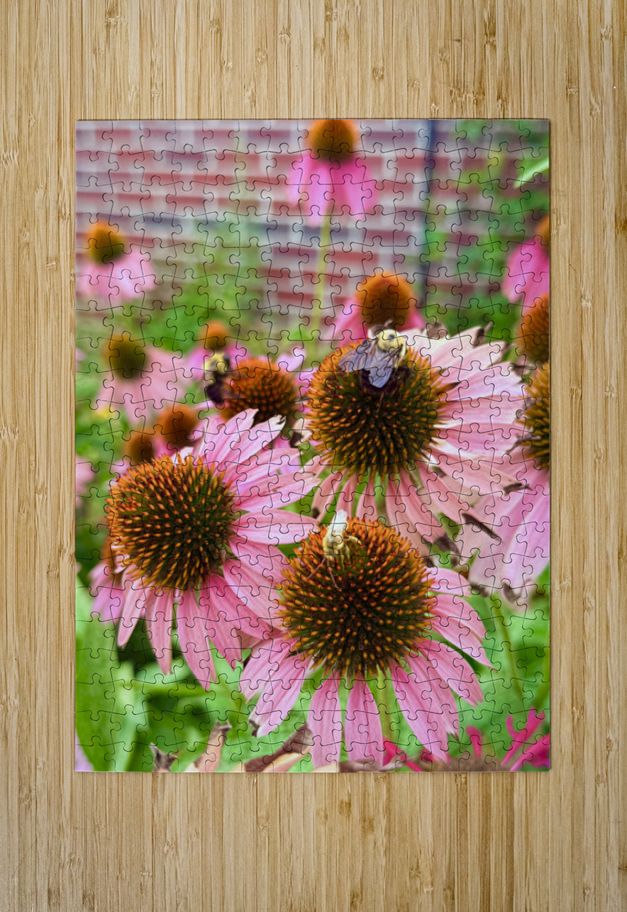 Garden Buzz Click4Pix Puzzle printing