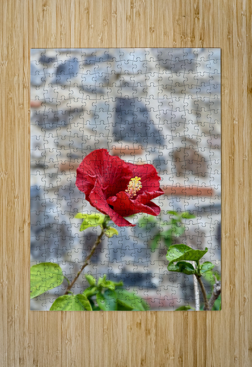 IMG 9957 Click4Pix Puzzle printing