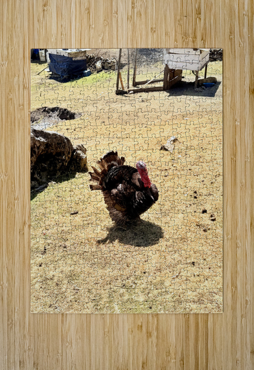 IMG 9621 Click4Pix Puzzle printing