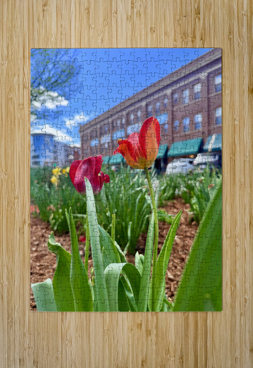 IMG 1602 Click4Pix Puzzle printing