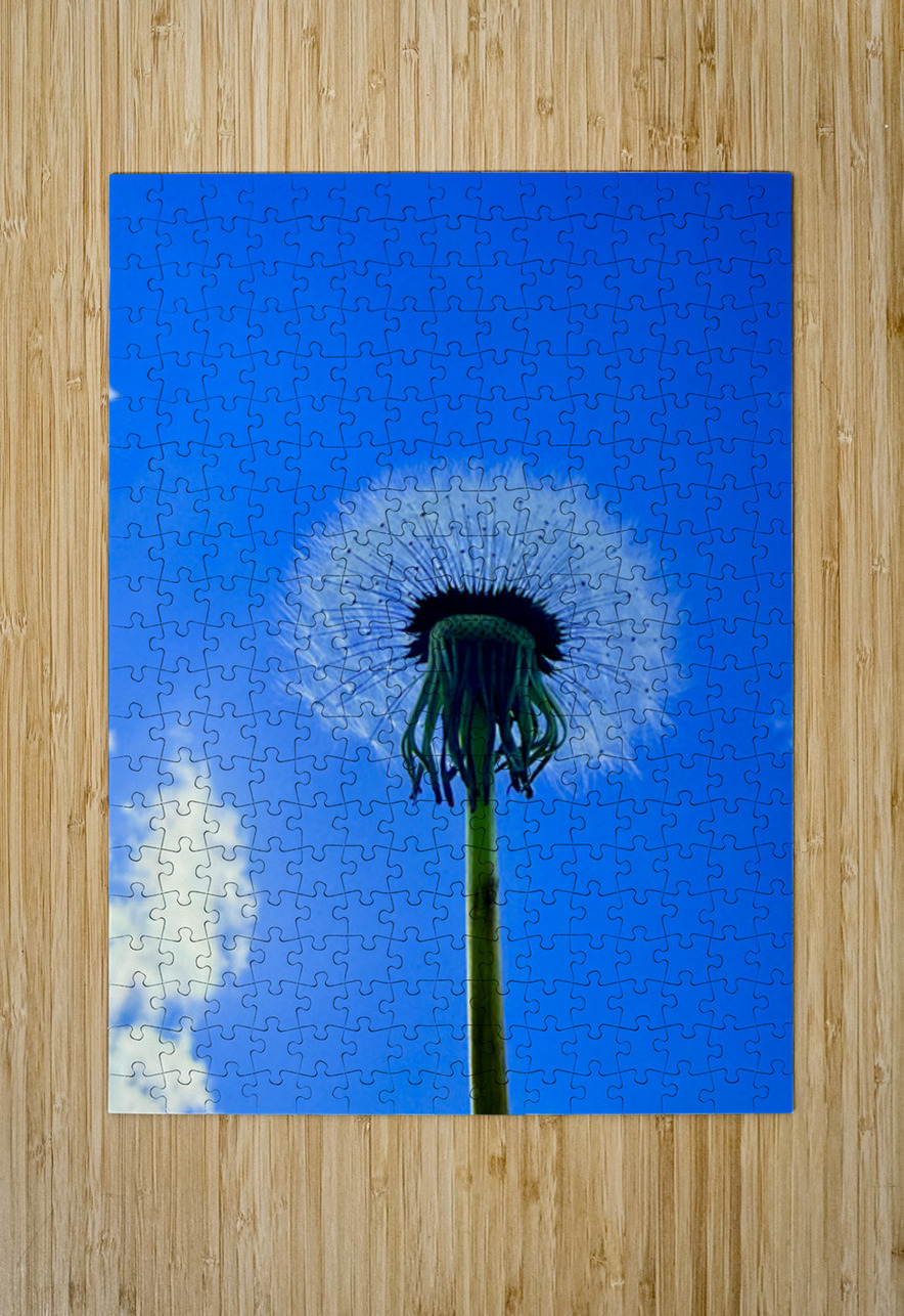 IMG 1762 Click4Pix Puzzle printing