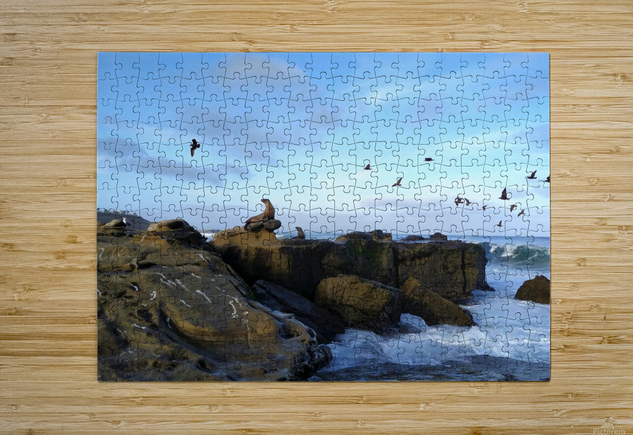 Seal Bird Watching 2 Click4Pix Puzzle printing