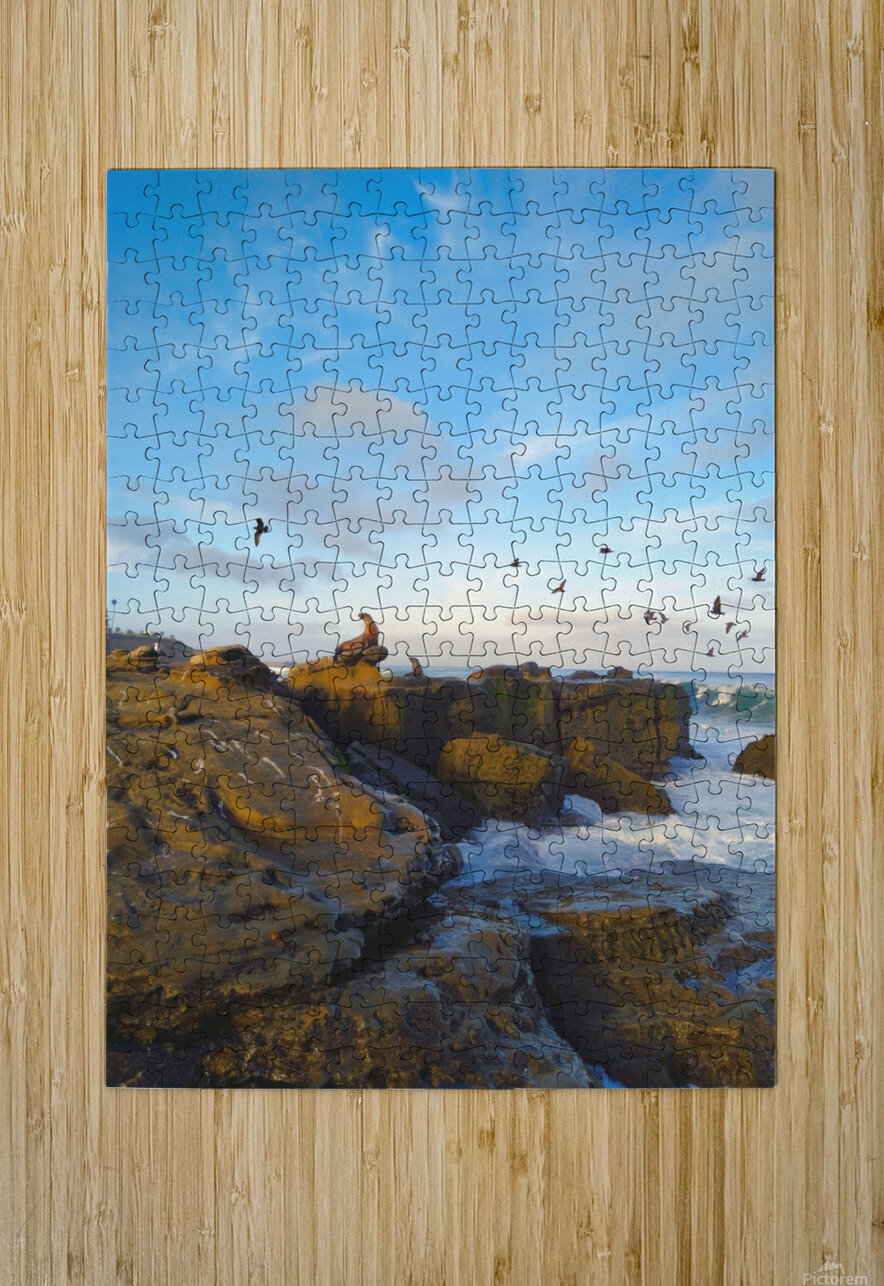 Seal Bird Watching Click4Pix Puzzle printing