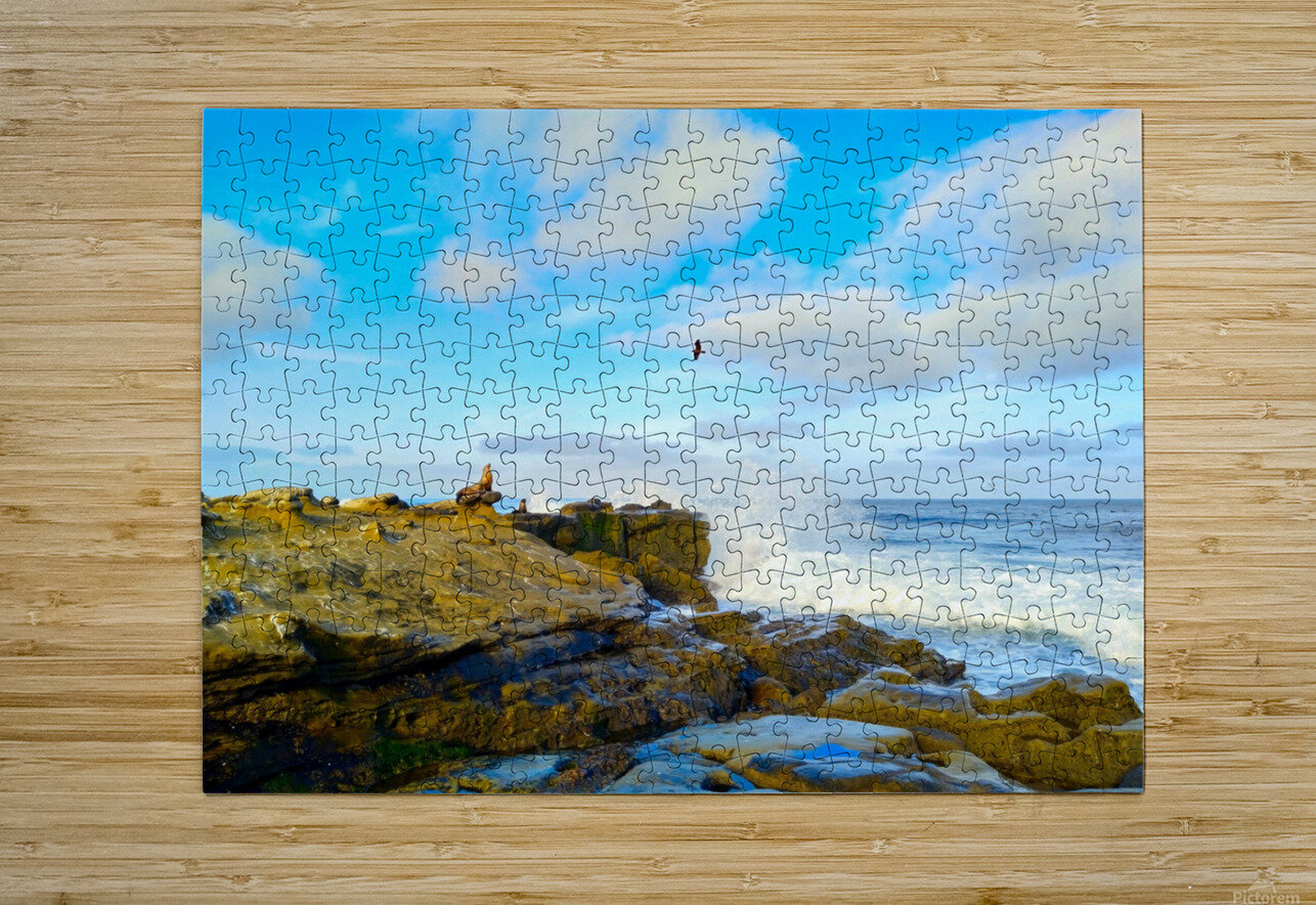 Seal Meditation 2 Click4Pix Puzzle printing