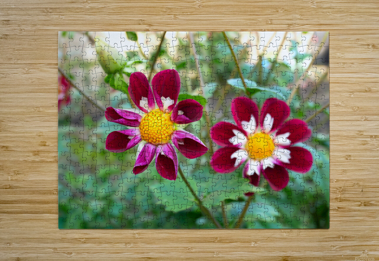 Flower Bloom 5B Click4Pix Puzzle printing