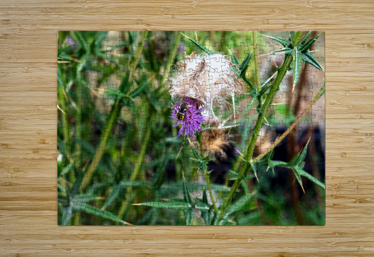 To Bee or Not to Bee   Click4Pix Puzzle printing