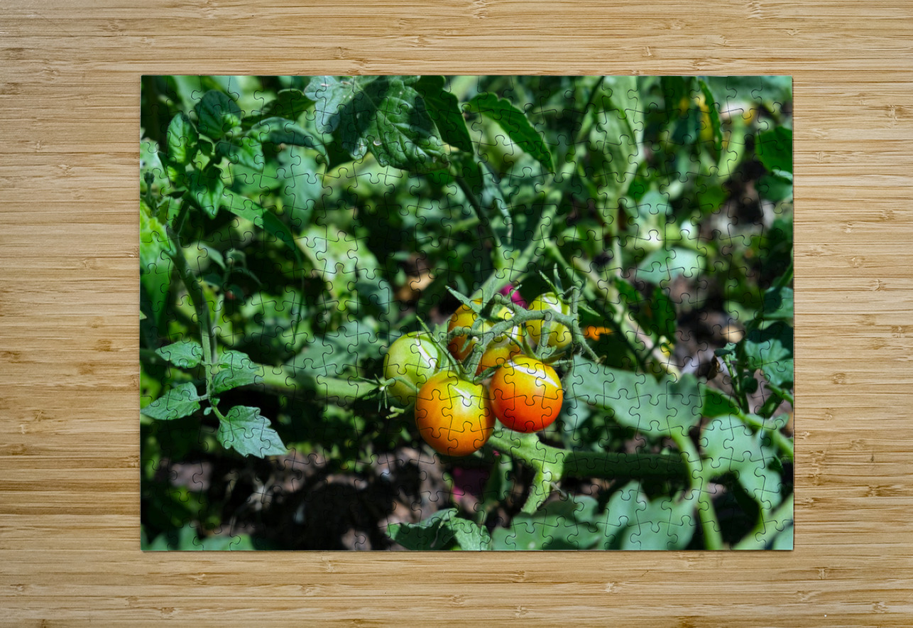 Scarred Cherry Tomato Click4Pix Puzzle printing