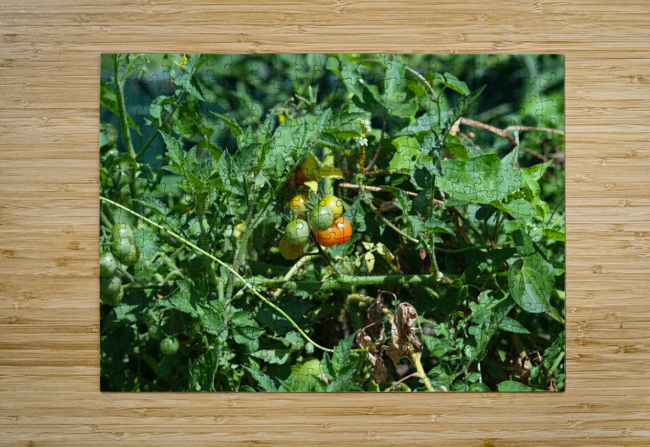 Pop My Cherry Tomato Click4Pix Puzzle printing