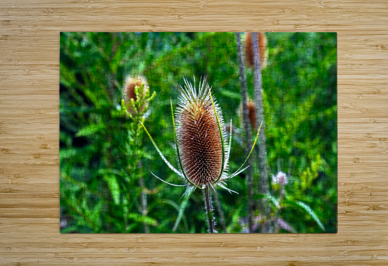 A Beautiful Prick Click4Pix Puzzle printing