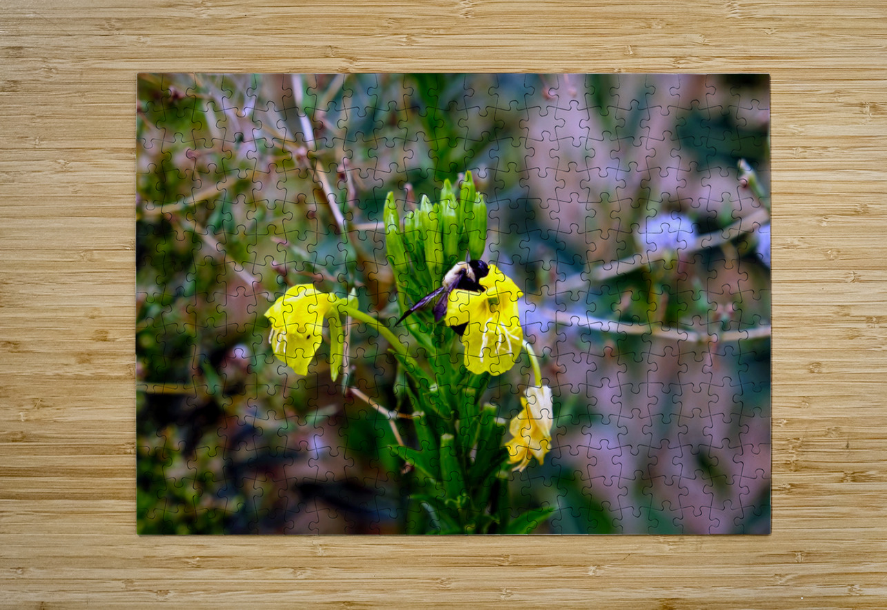 To Bee or Not to Bee  3   -- The Struggle Is Real Click4Pix Puzzle printing