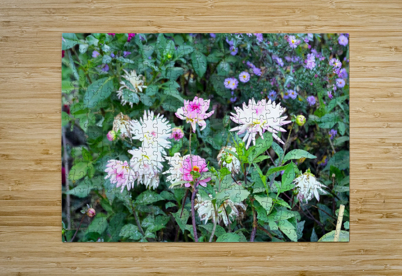 Pink and White Flowers  Click4Pix Puzzle printing