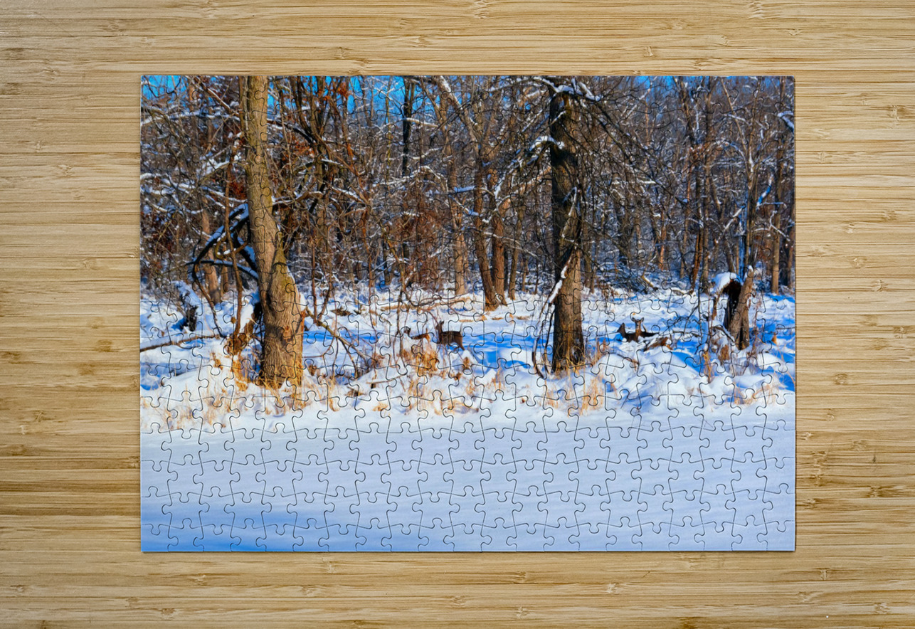 Hiding in Plain Sight Click4Pix Puzzle printing