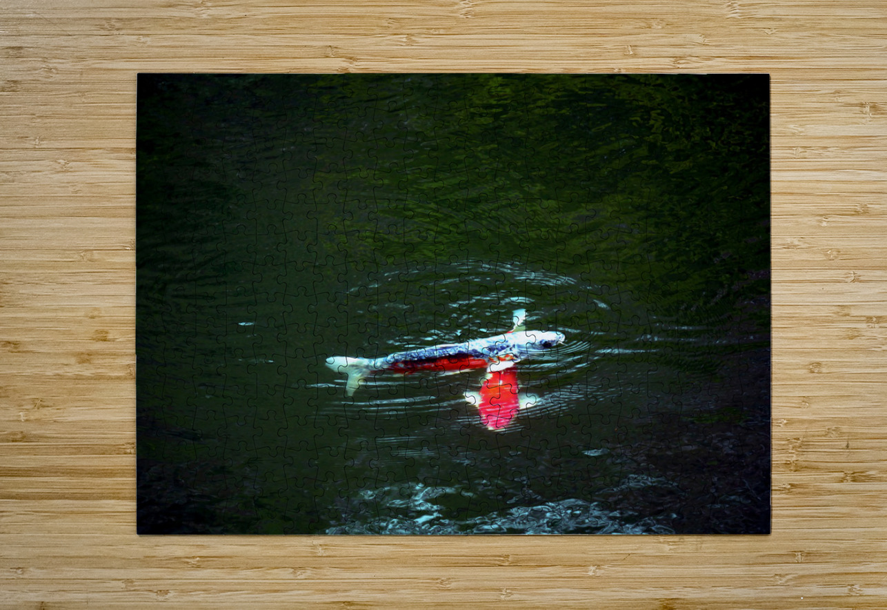 Playful Koi Click4Pix Puzzle printing